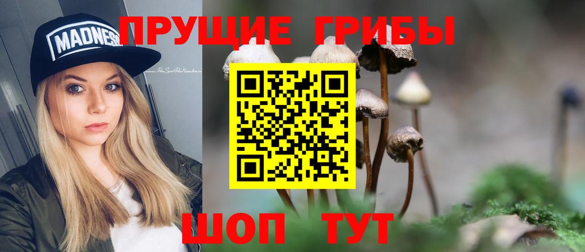 Псилоцибиновые грибы мицелий  Вход с VPN  купить наркоту  Псилоцибиновые грибы мицелий  Пыть-Ях 